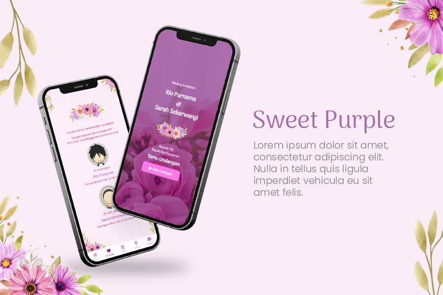 Sweet Purple - 6 Bulan
